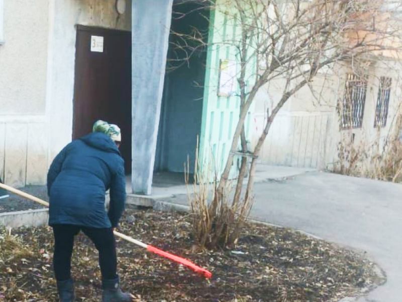 Уборка газонов в многоквартирном доме в Красноярске на улице Менжинского 17 до покраски Уборка газонов в многоквартирном доме в Красноярске на улице Менжинского 17 до покраски